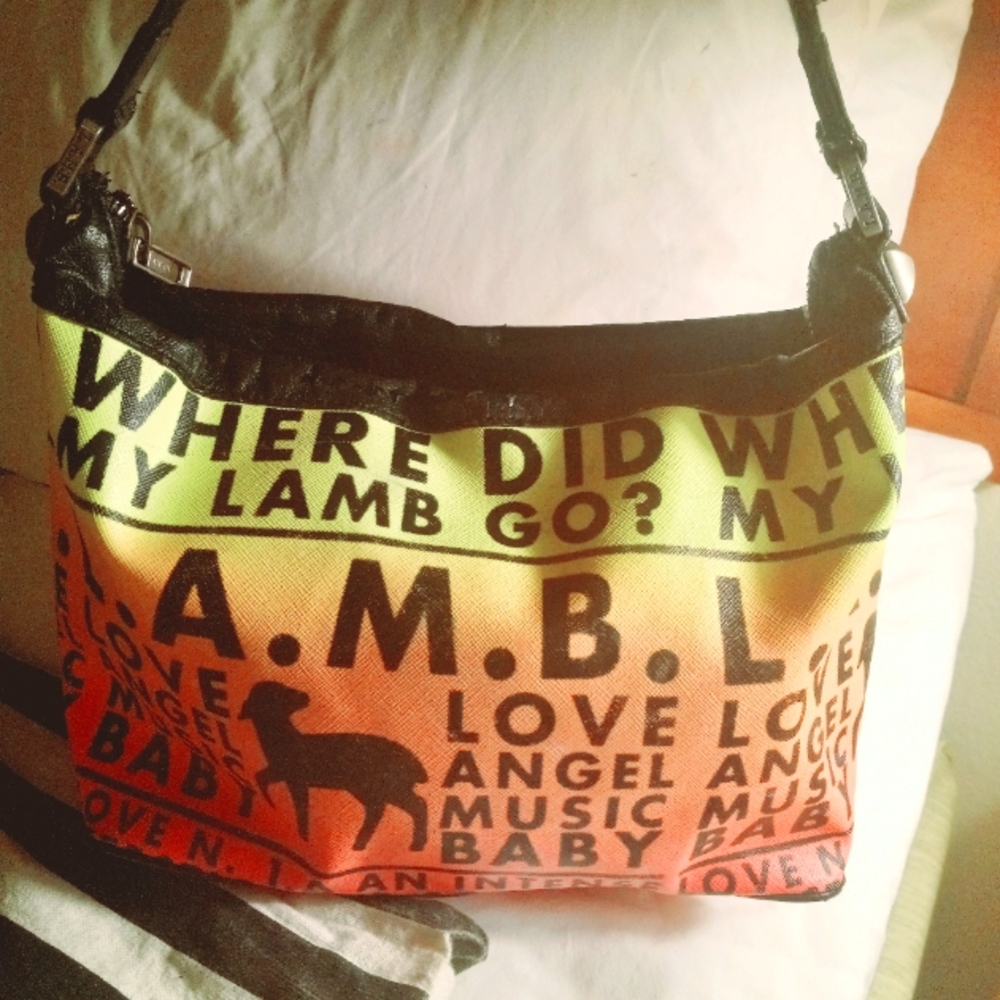 L.A.M.B MULTI COLORED PURSEW DUST 🎒  BAG